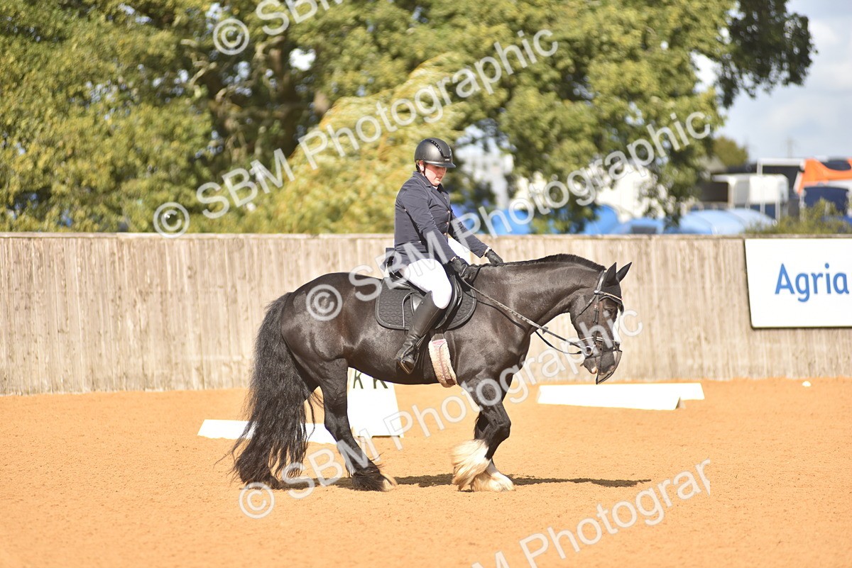 SBM_03028 - D4 - Small Tour Championship Intro 4