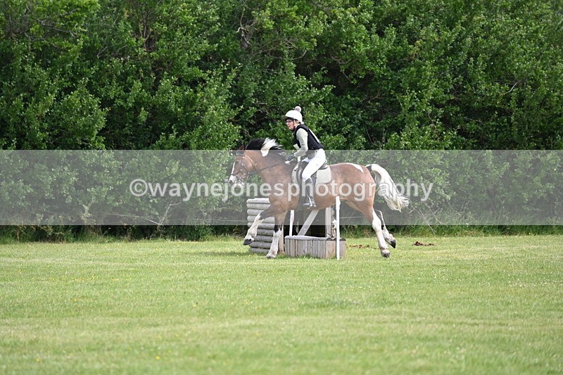 WJ6_2303 - Class 2 40cm