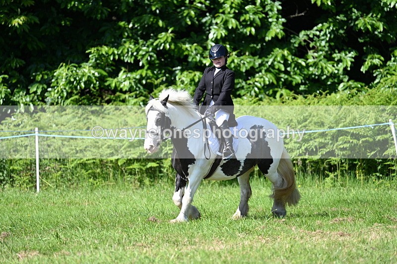 WJ7_0525 - Class 8 First Rally Pony