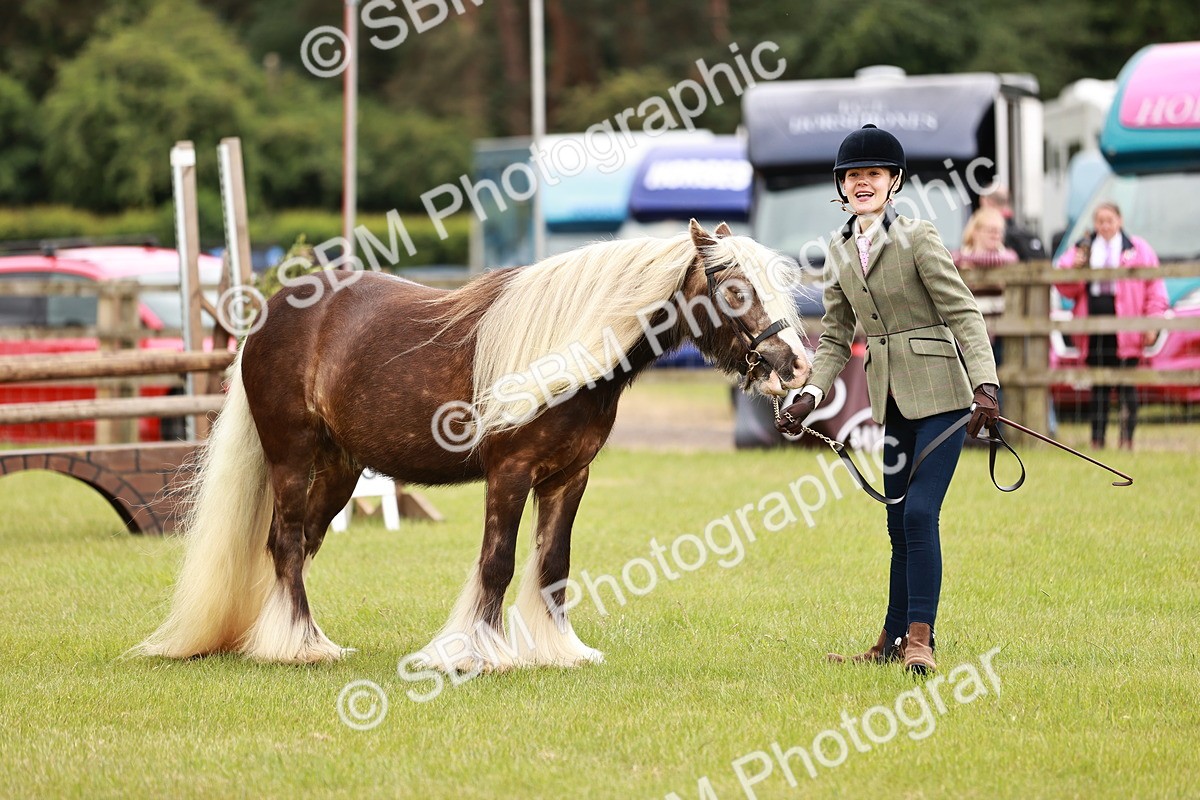 SBM_06032 - Class 39-41 TGCA In Hand and Ridden
