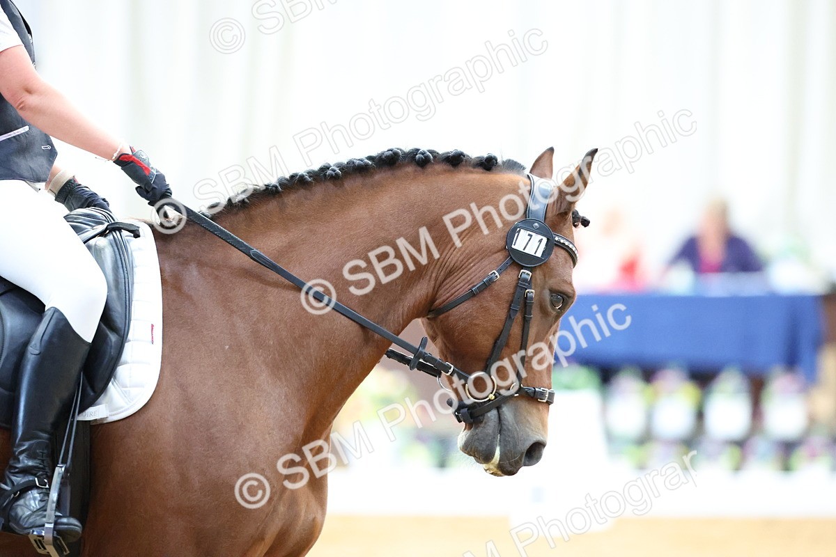 SBM_015150 - Class 15 - Novice FSM 8.30-9.26