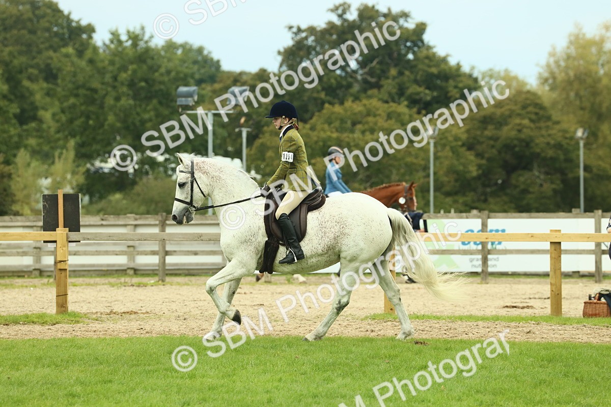 SBM_72054 - S60 - Mountain & Moorland Ridden Large Breeds