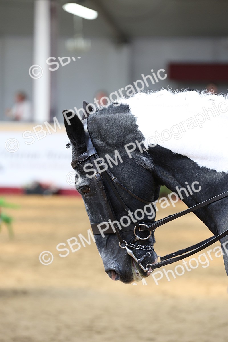 SBM_23571 - Class 904 - Supreme Final - Ridden Diamond