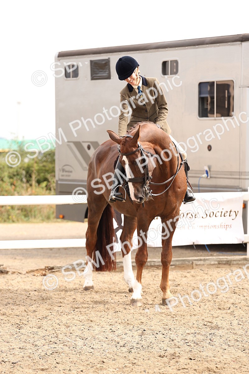 SBM_02852 - Class 53 - Ridden Competition Horse/Pony
