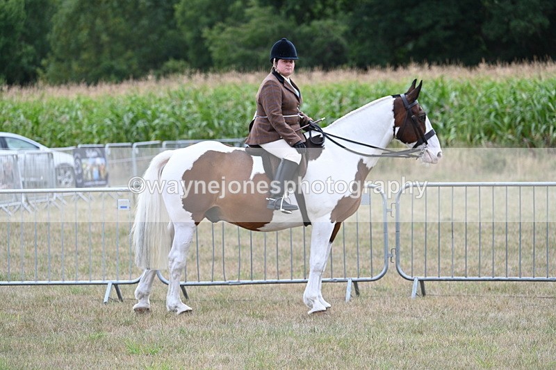 WJ7_5334 - Class 12 Ridden Cob