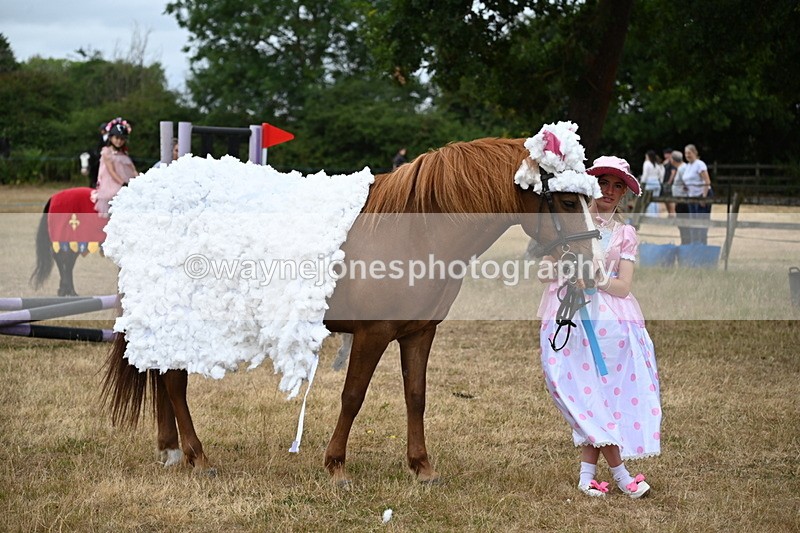 WJ6_8770 - Class 11 Fancy Dress
