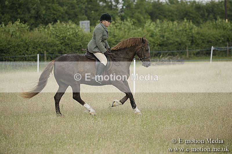 B230619-0186 - Bourne Valley Riding Club Summer Show 23/06/19