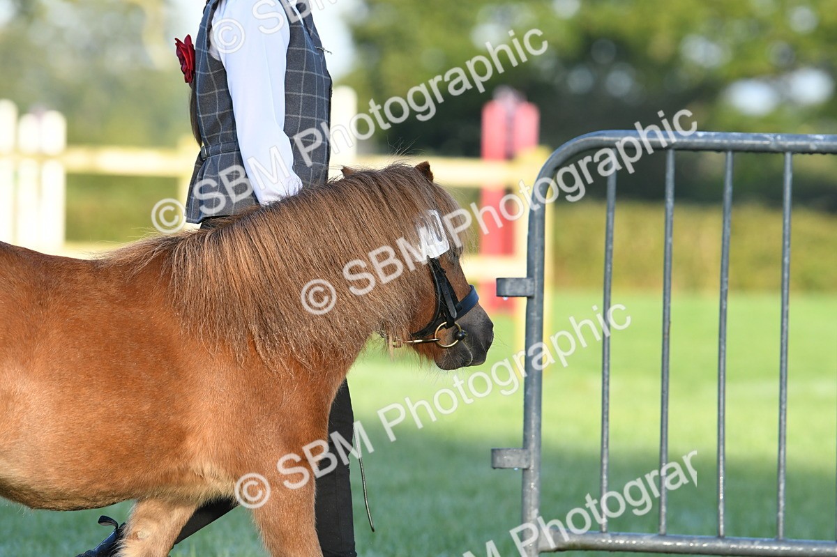 SBM_32444 - S15 - Condition & Turnout In Hand