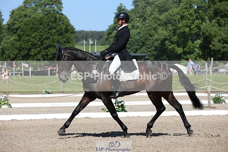 230526-103202-05279 - 362-SPIRIT'S_GEMINI-Harry_Dzenis-WEDTrotUp+DR