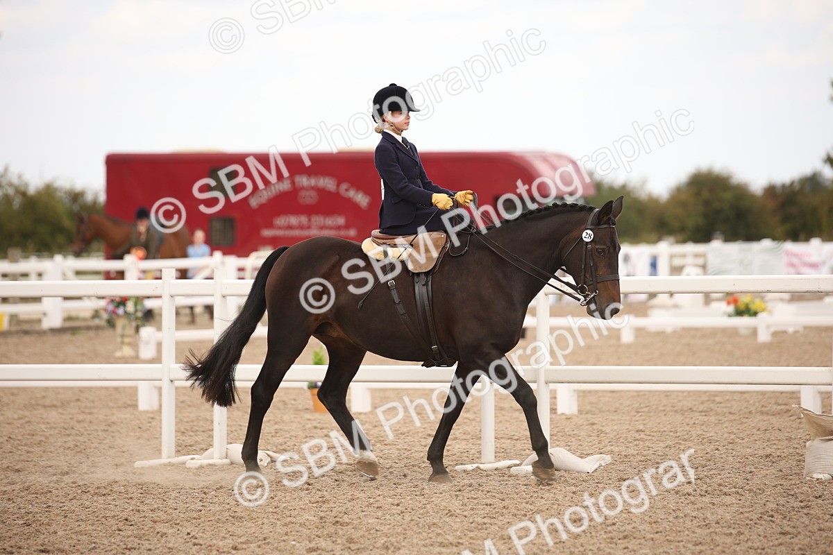 SBM_05316 - Class 22 SSA Equitation