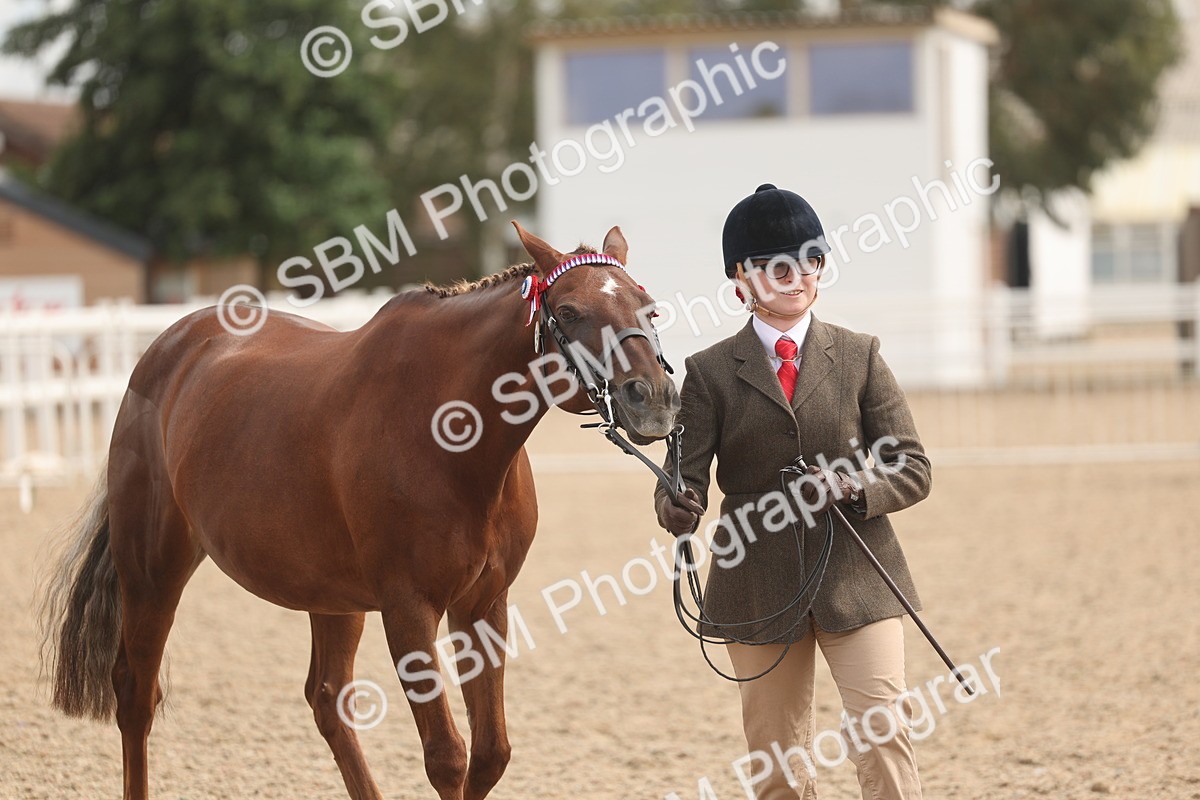 SBM_05025 - Class 20 - IH Veteran