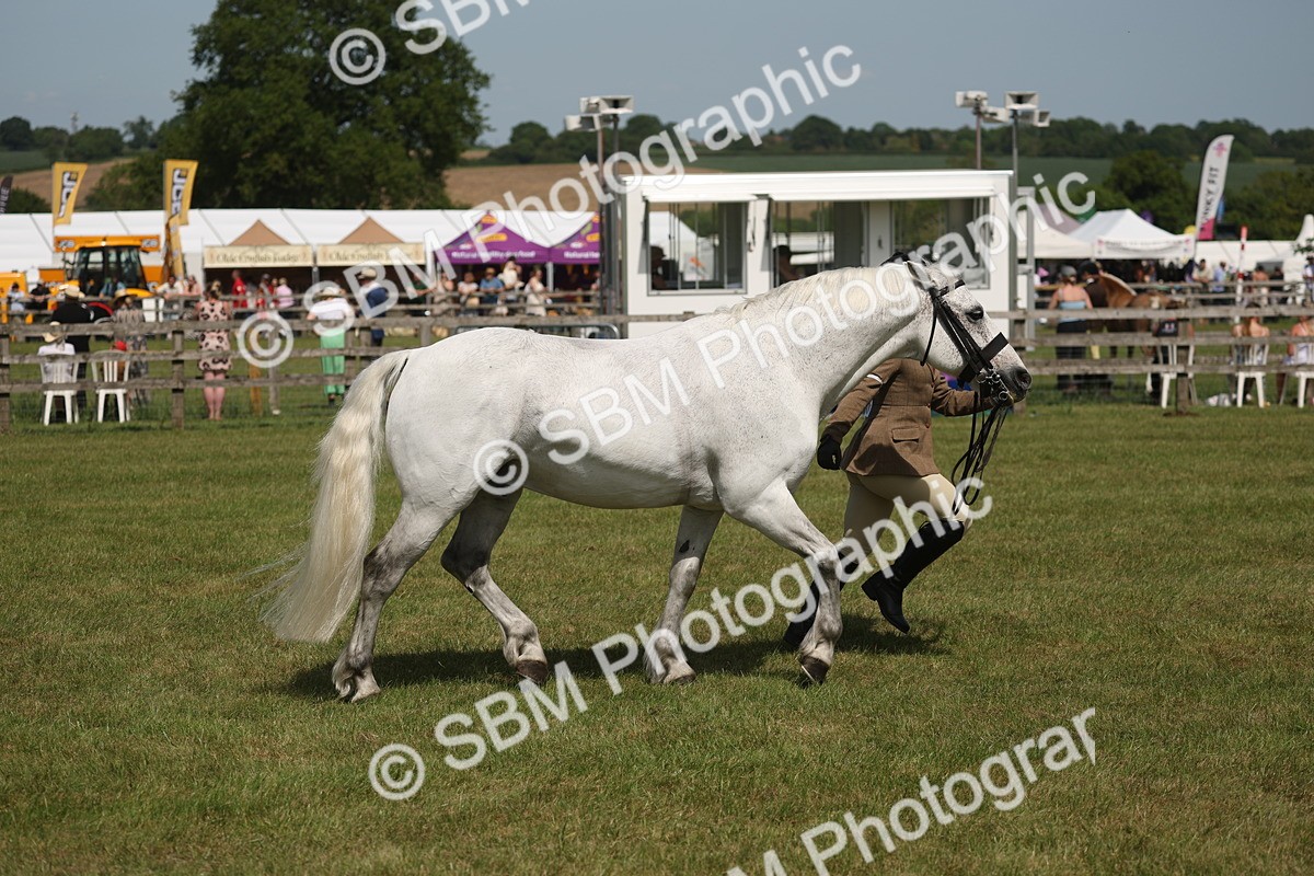 SBM_07631 - Class 26-30 - Mountain and Moorland Ridden