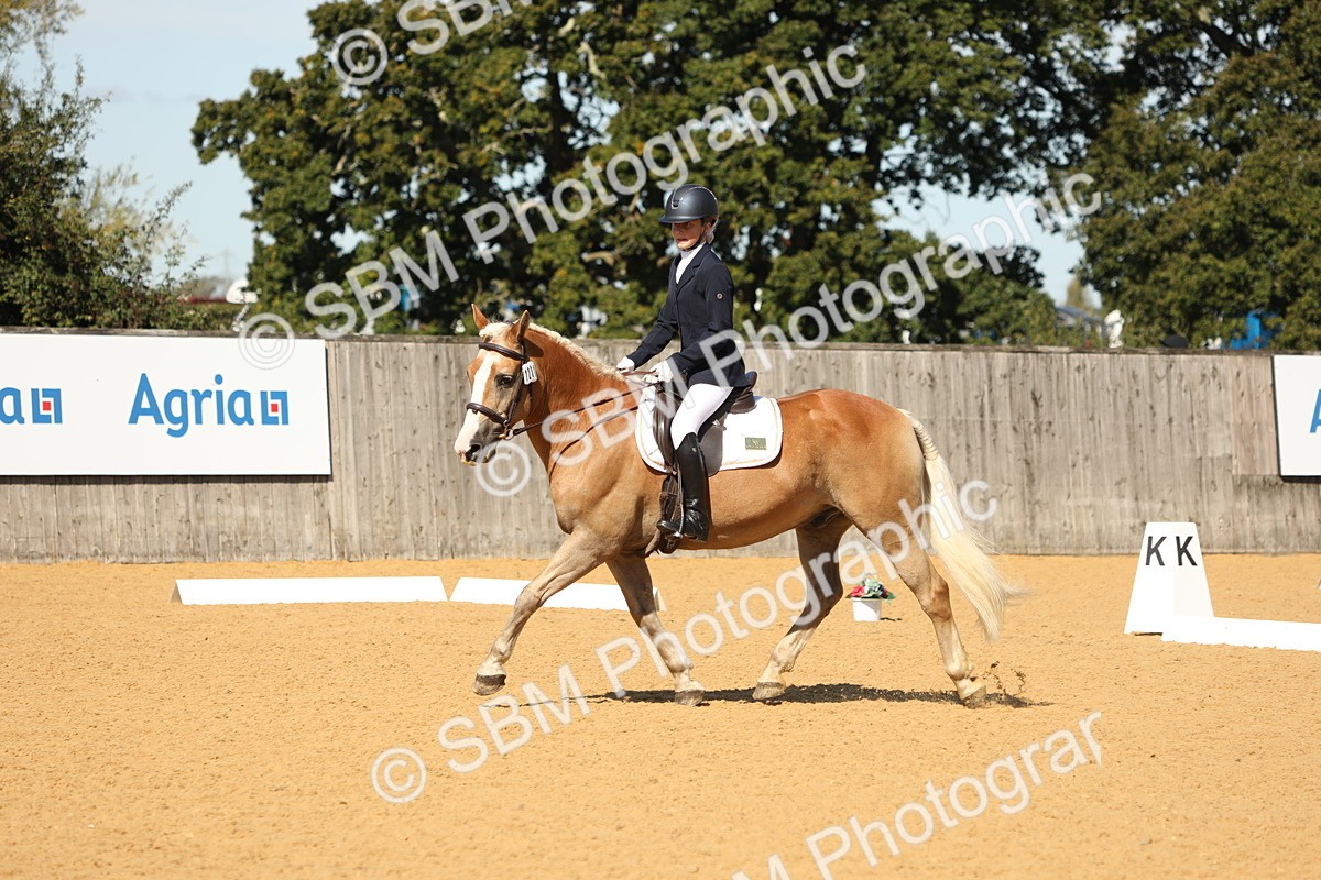 SBM_19732 - D10 - Small Tour Championship - Prelim 2