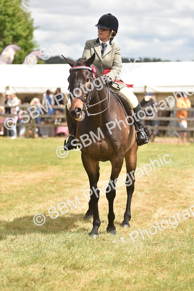 SBM_14295 - Class 113-114 - Retraining of Racehorses Ridden