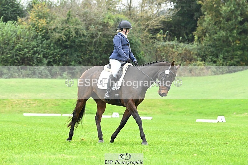 241024-144518-04596 - 420-Pip.Howarth-OTTAVA