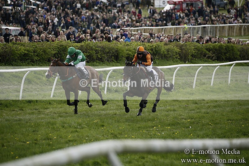 PtP 170417 190 - Old Berks Point-to-Point Lockinge 17/04/17