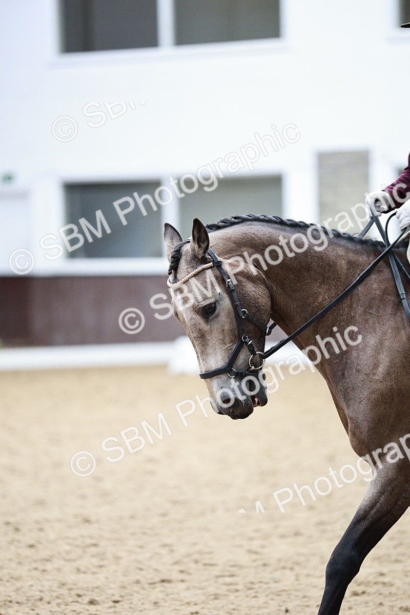 SBM_005248 - Class 14 - Novice FSM - 12.17-13,21