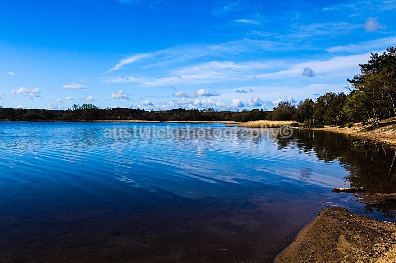 Frensham Little Pond Sand - Landscape