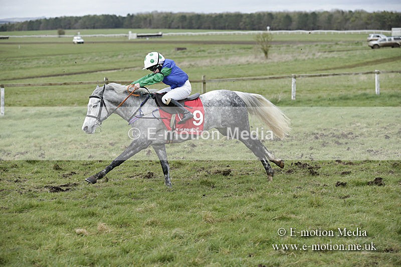 PtP 150320 0775 - New Forest Point-to-Point Larkhill 15/03/20
