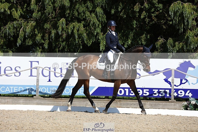 230526-151437-06658 - 379-QUIZICAL_Z-Alice_Hallows-WEDTrotUp+DR