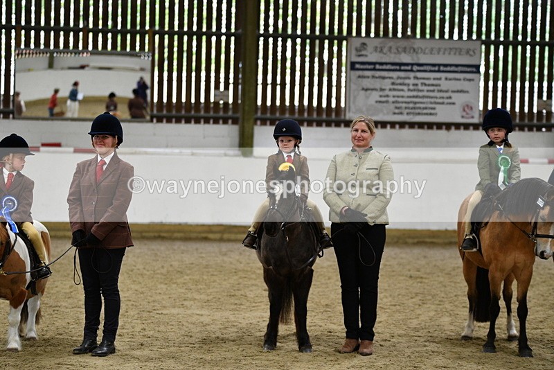 WJ5_7135 - Class 10 Childs Pony