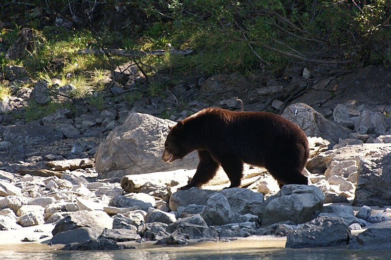  - Canada West Coast