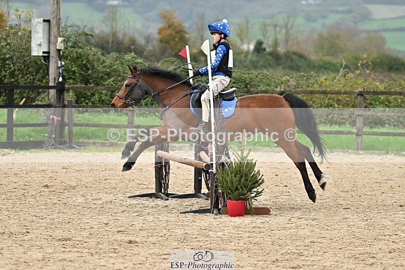 241110-141650-01078 - 60-65cm Arena Eventing