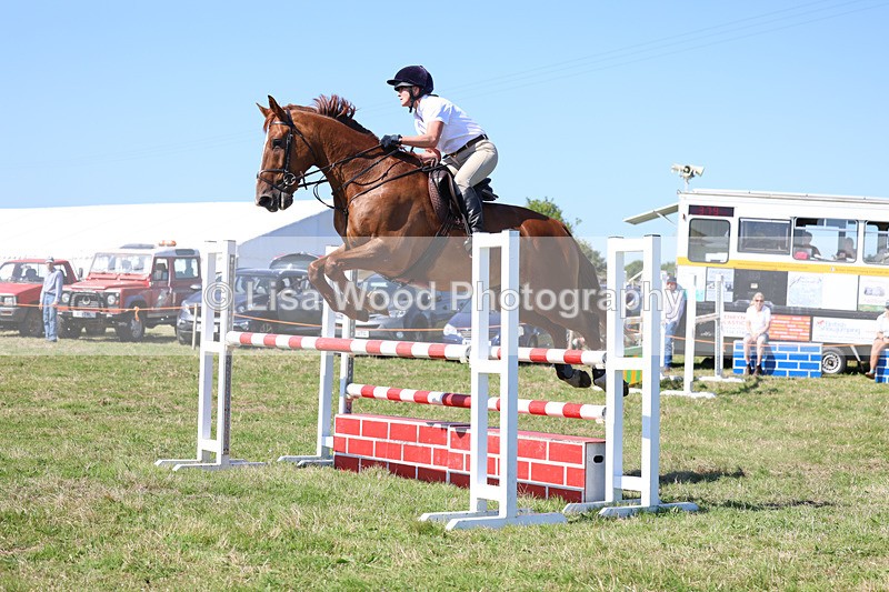 3E7A6453 - Class 13: Senior Newcomers/1.10m open