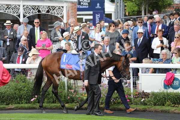 yr17082022r3-2 - Race 3 3.00pm Sky Bet Great Voltigeur Stakes