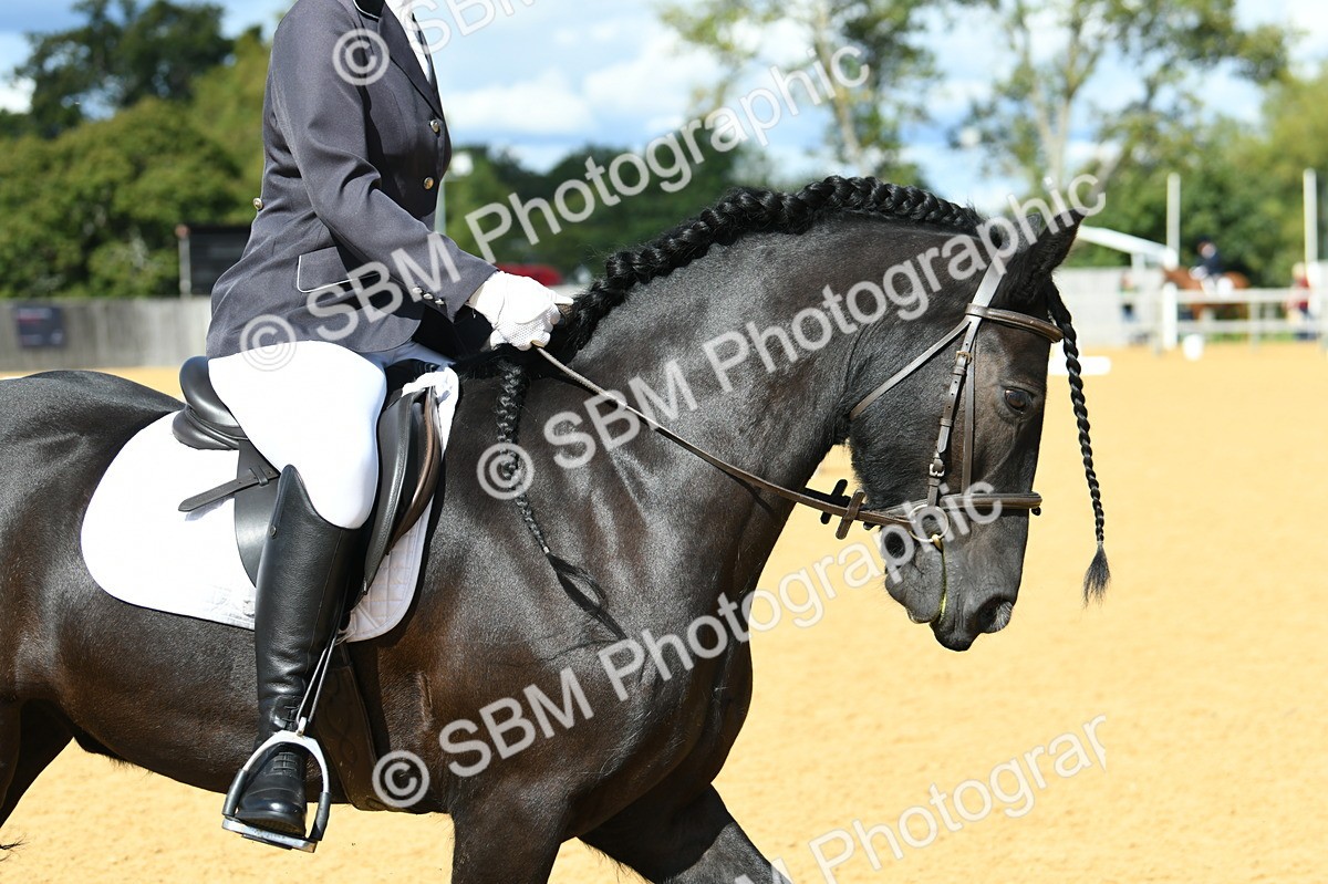 SBM_06601 - D15 Small Tour Championship Novice 24