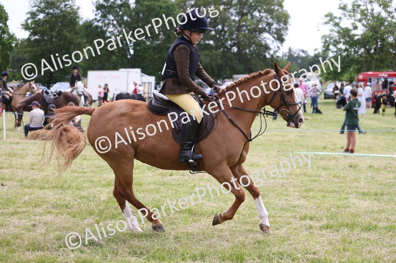20260614-2906 - Class 22 - Open Working Hunter