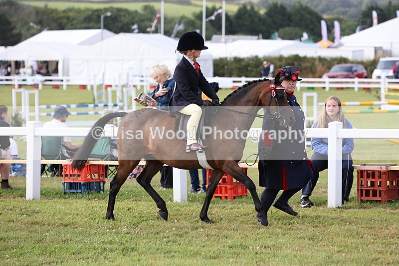 JPP_0240 - Class 14: Cornish Combination Leading Rein