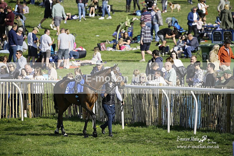 PtP 180422 298 - Old Berkshire PtP Lockinge 18/04/22