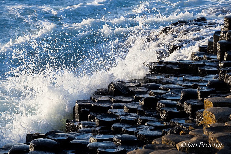Weathering the Storm - Giants Causeway - County Antrim