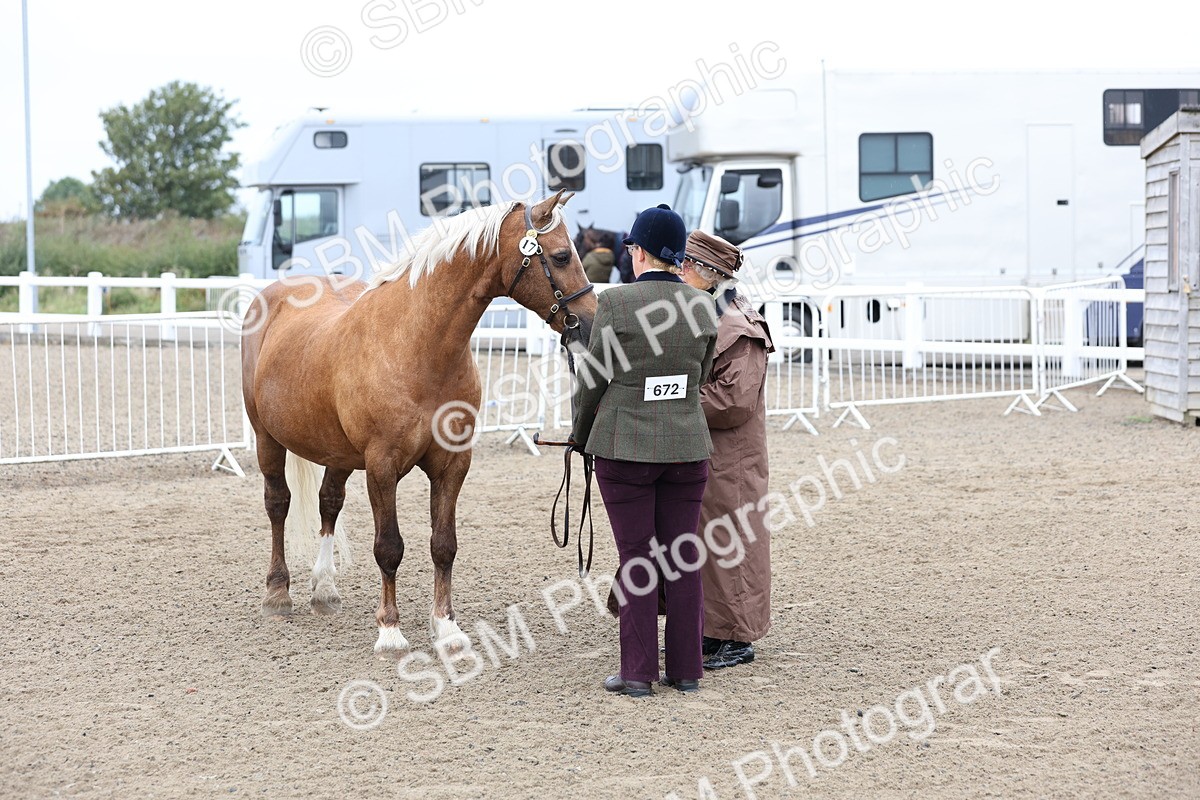 SBM_00034 - Class 50 - Best Turned Out IH