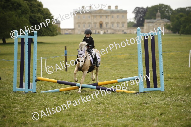 20250517-0913 - Class 2 - 30cm Off Lead Rein