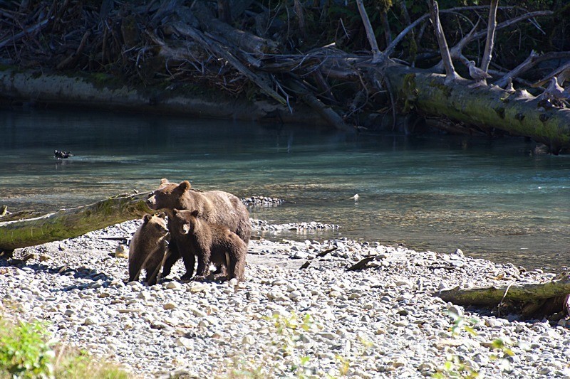  - Canada West Coast