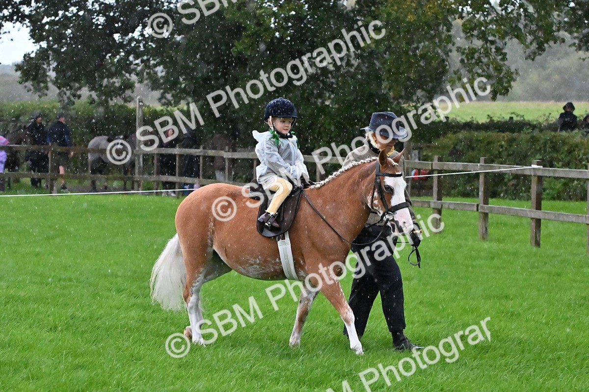 SBM_36434 - S18 - Novice & Newcomer Lead Rein Pony