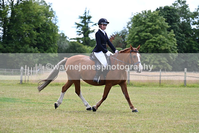 WJ7_9514 - Class 8 Ridden Veterans