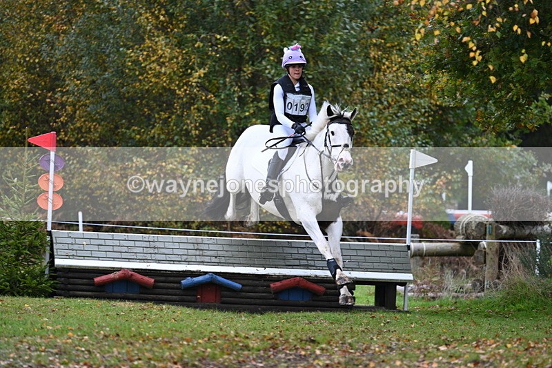 WJ7_1954 - 80cm Cam 2 Pairs Time 12:18 to 12:43