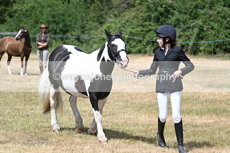 WJ7_1715 - Class 4 Prettiest Mare up to 14.2hh in hand