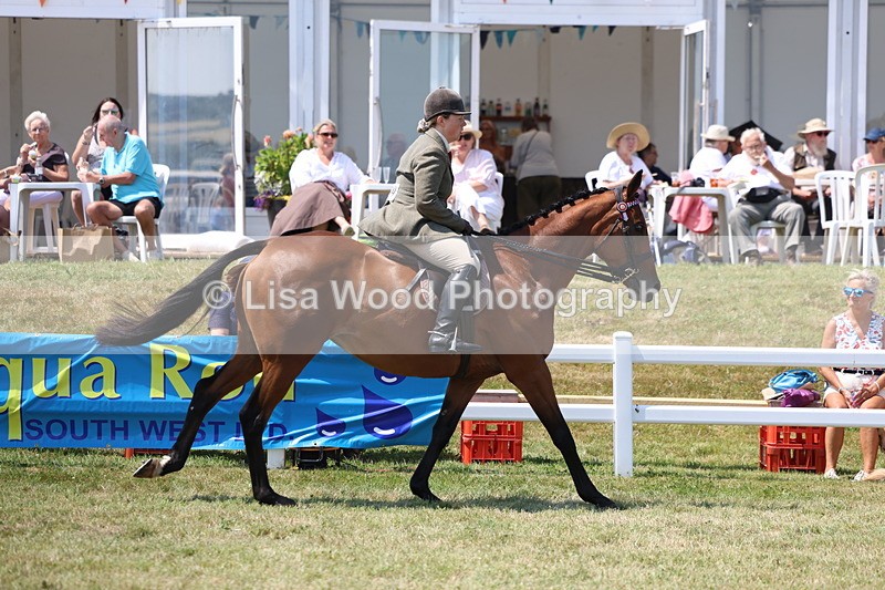 3E7A9316 - Class 12: Open Racehorse to Show Horse