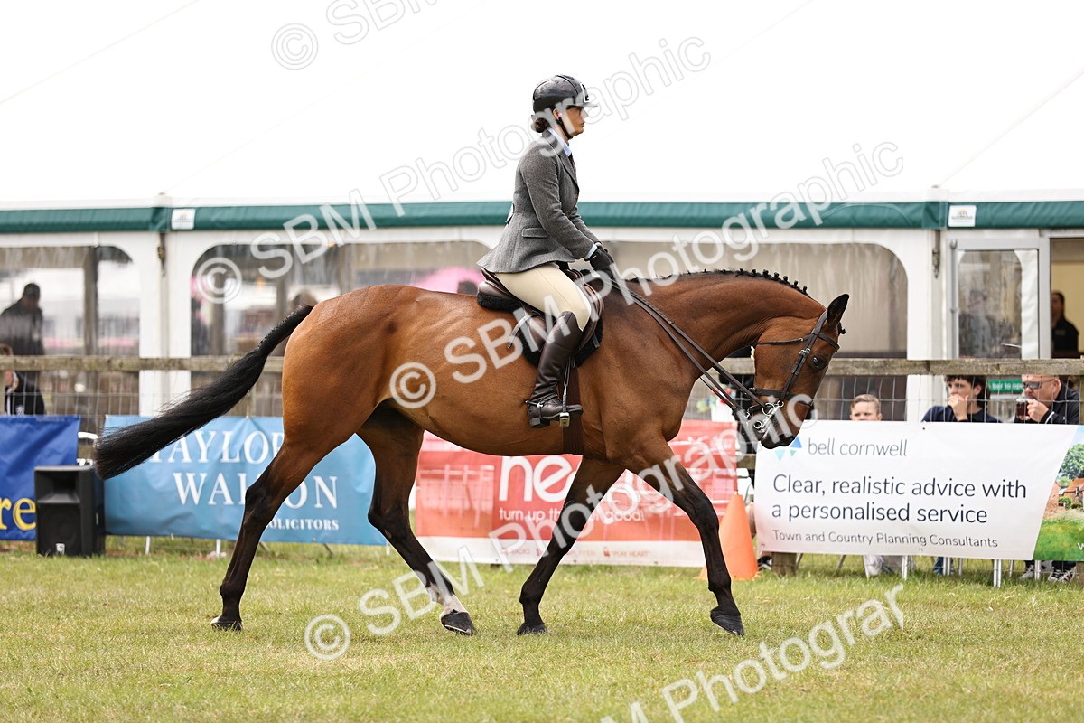 SBM_14652 - Class 88-89 - LIHS BSHA Rising Star of Ridden Hunter Type