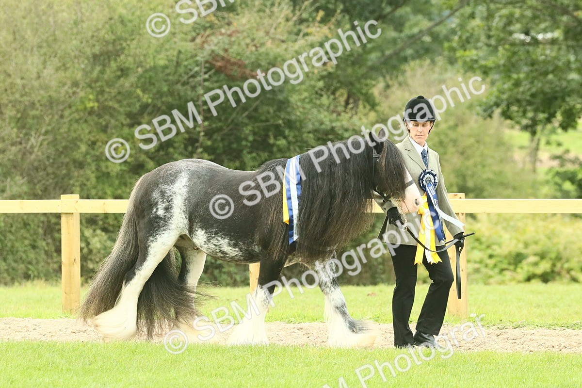 SBM_75131 - Super Supreme Championship