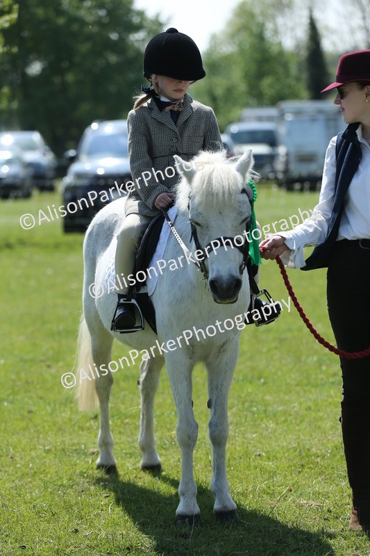 20250427-2671 - Class 6 - Pony Judge Would Most Like To Take Home