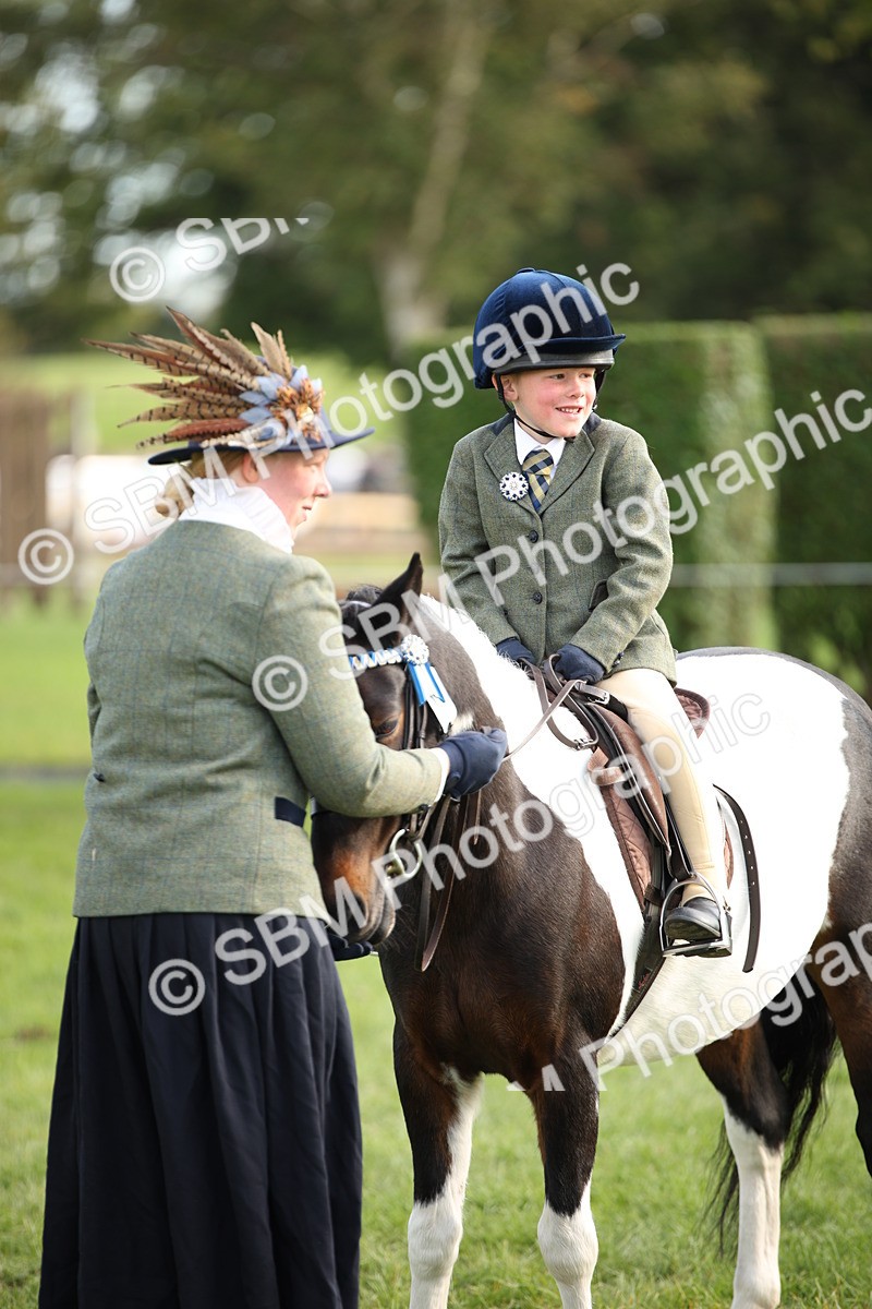 SBM_54280 - S27 - Mature Veteran - Ridden