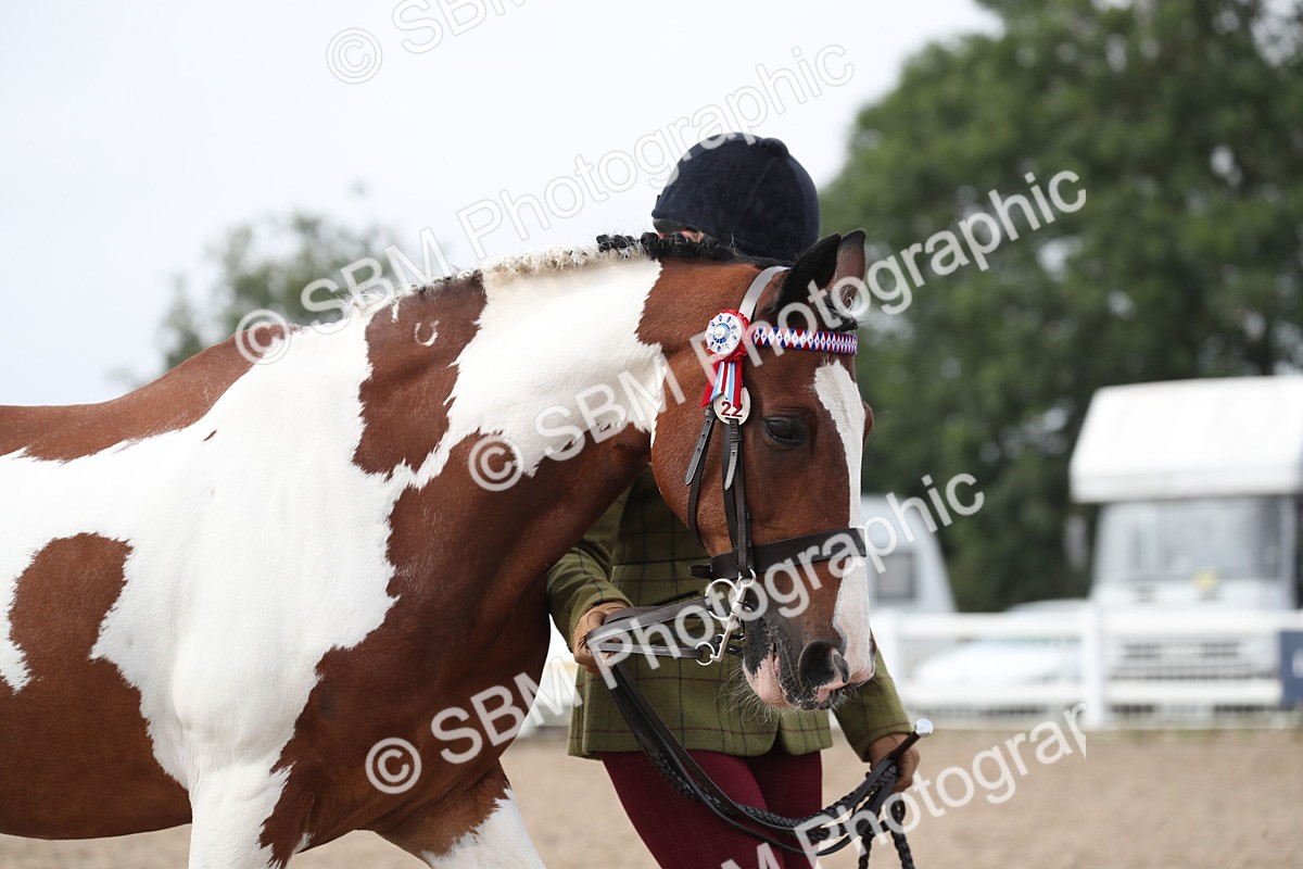 SBM_23058 - Class 605 - 2025 Area - IH Veteran