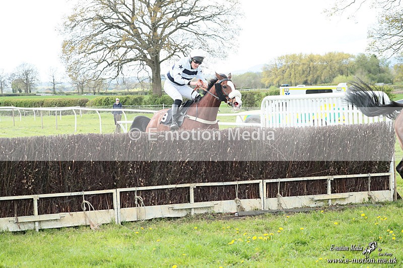 PtP 180426 552 - Worcestershire Hunt PtP Chaddesley Corbett 18/04/26