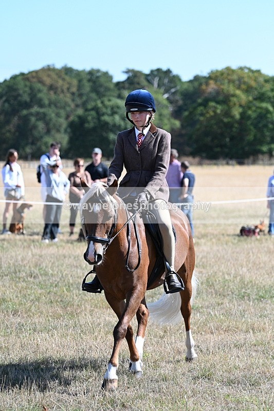 WJ7_4011 - Class 9 Mountain & Moorland Ridden