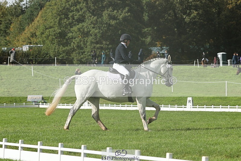 251023A-143814-05001 - G-522-Sue.Parkes Inc Trot Up